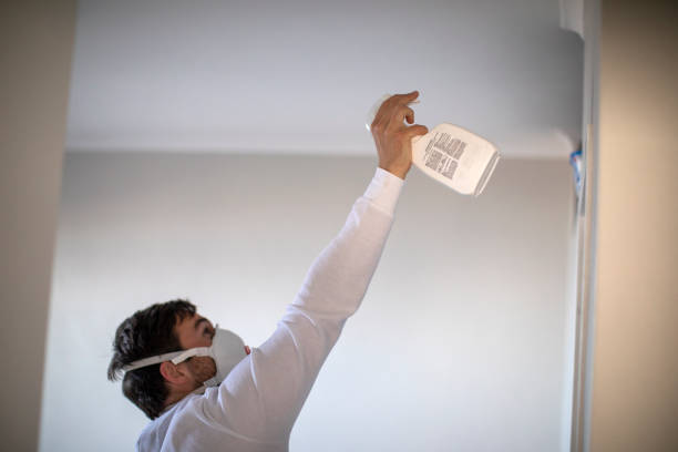 Certified Mold Removal in Davisboro, GA