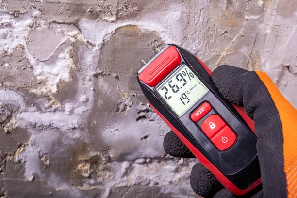 Best Fast Mold Removal  in Davisboro, GA