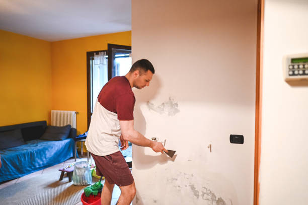Professional Mold Removal in Davisboro, GA