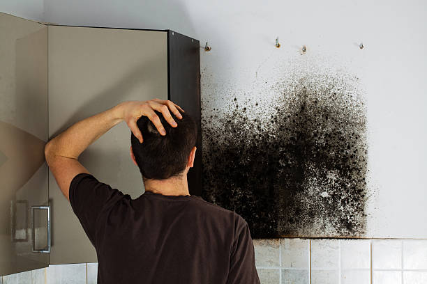 Mold Removal Process in Davisboro, GA